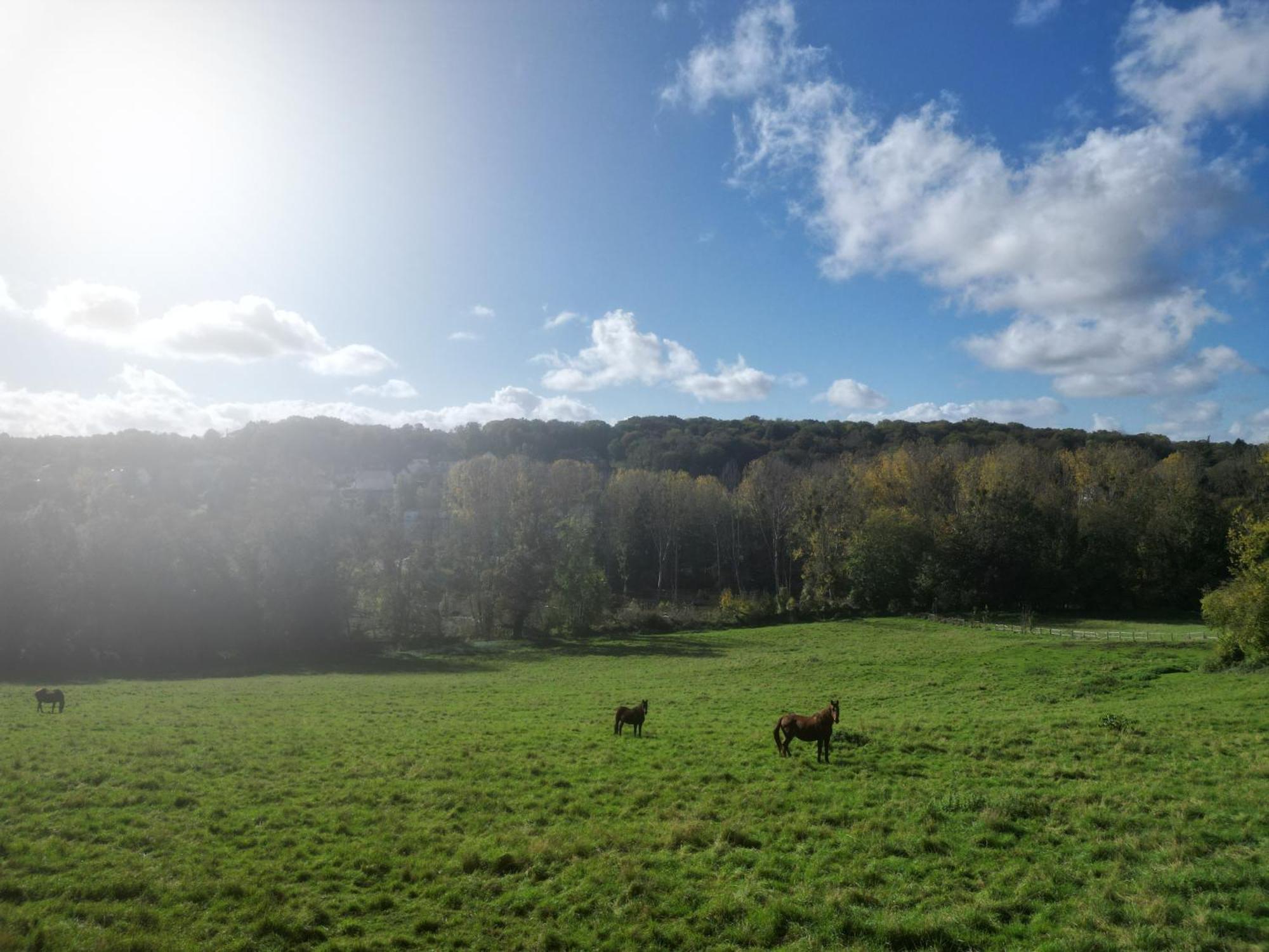 Отель Le Manoir Du Cerf Gaillon-sur-Montcient Экстерьер фото